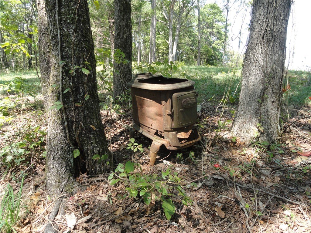 Picture 16