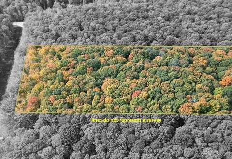 Mature Hardwood Land Parcel