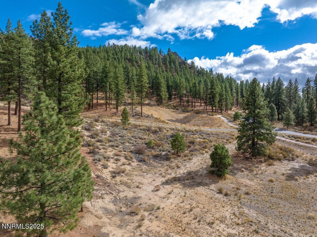 Picture 18