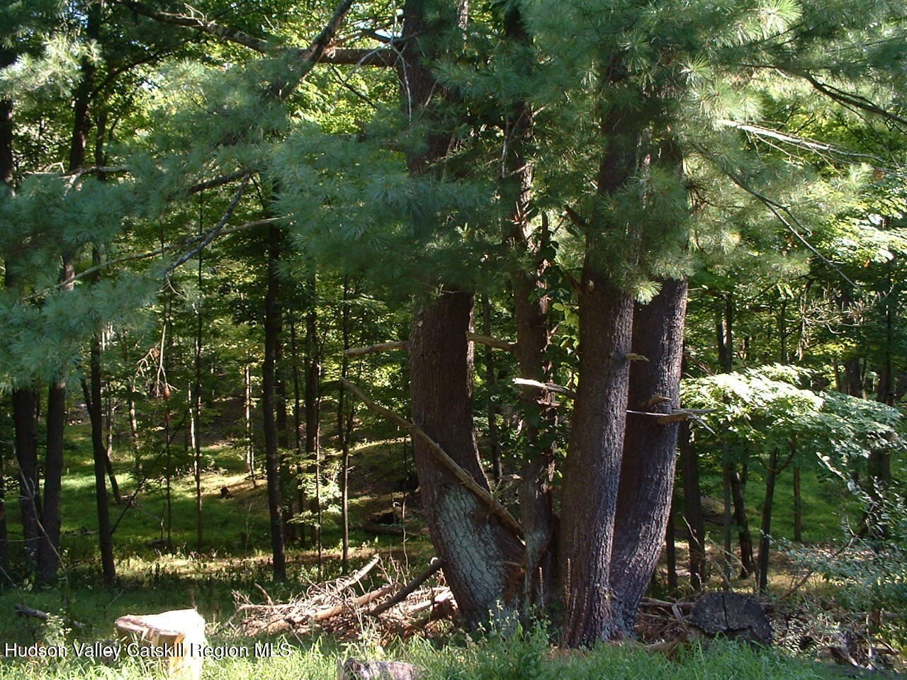 Secluded Land with Potential Views