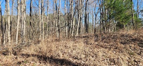 Land, HOLLADAY, TN