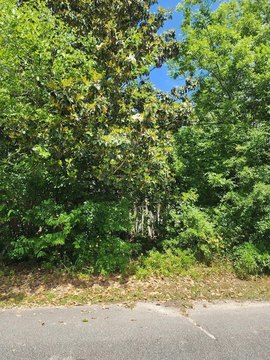 Mayesville, SC Land For Sale