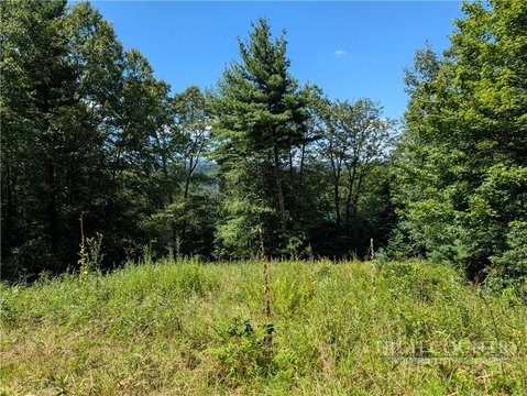 Land, West Jefferson, NC