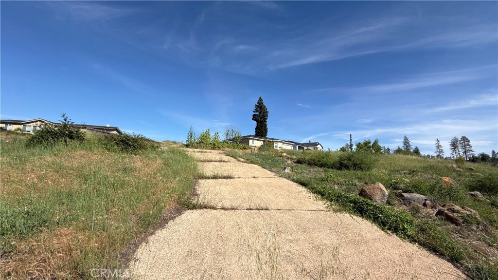 Picture 25