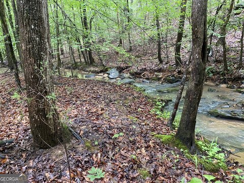 62.5 Acres Recreational Land, Elberton