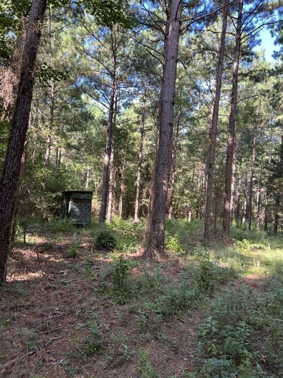 Picture 22