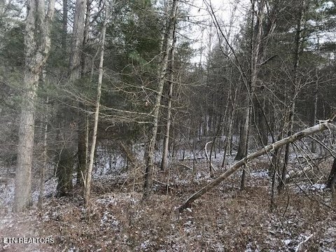 374+ Acres Wooded Land For Sale