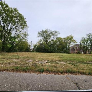 Detroit Land Opportunity