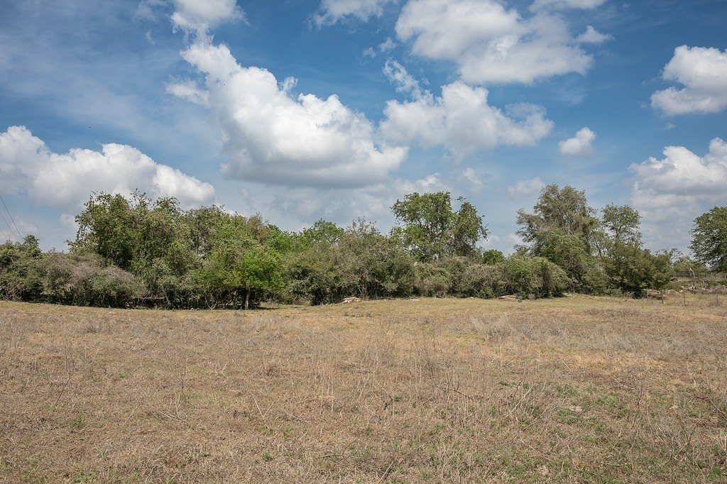 Picture 22