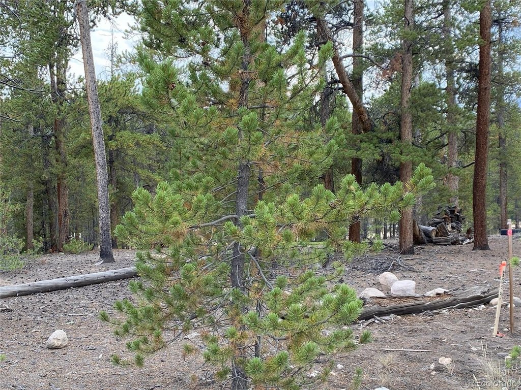 Picture 12