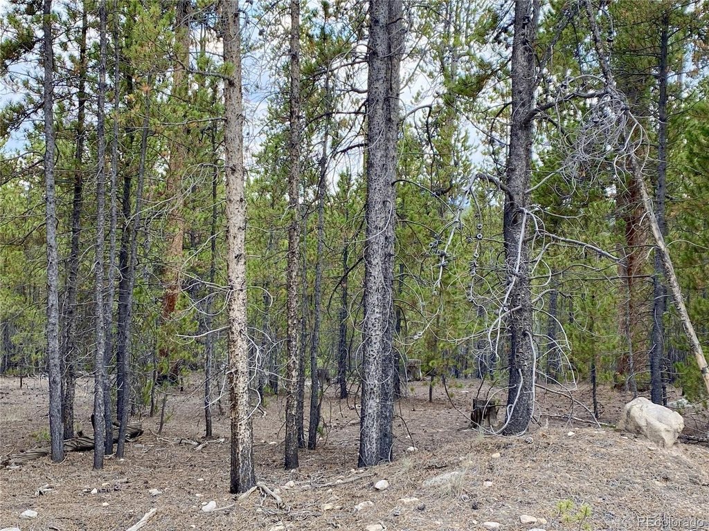 Picture 7