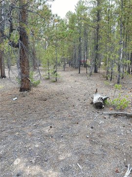 Land, Twin Lakes, CO