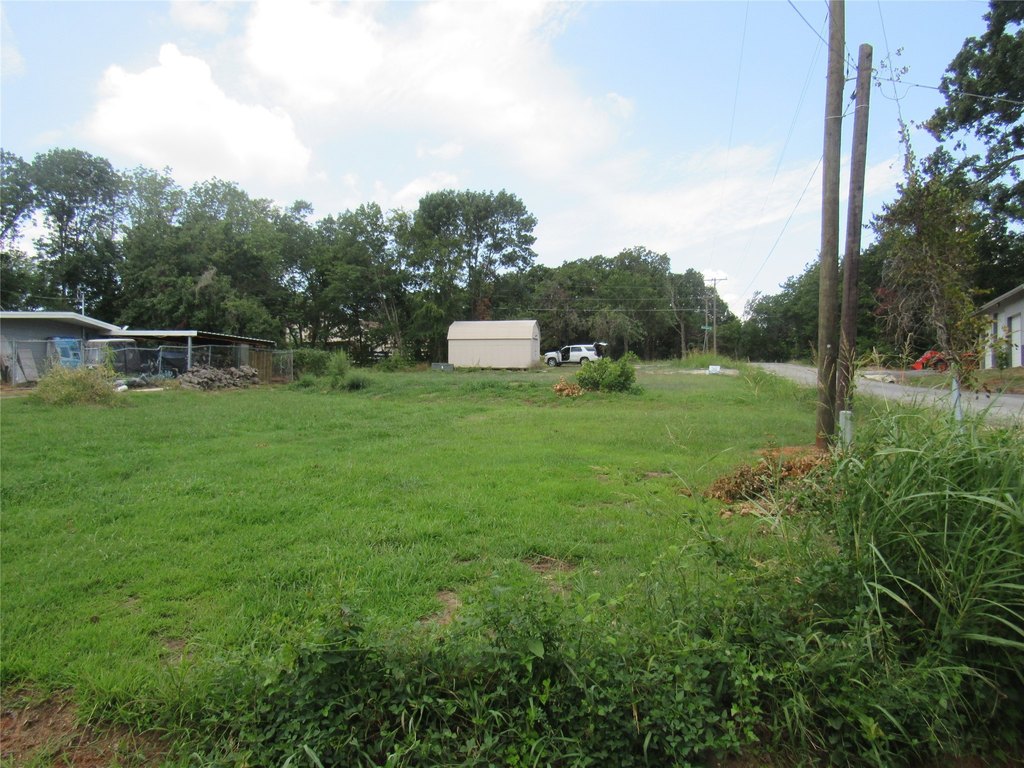 Picture 6
