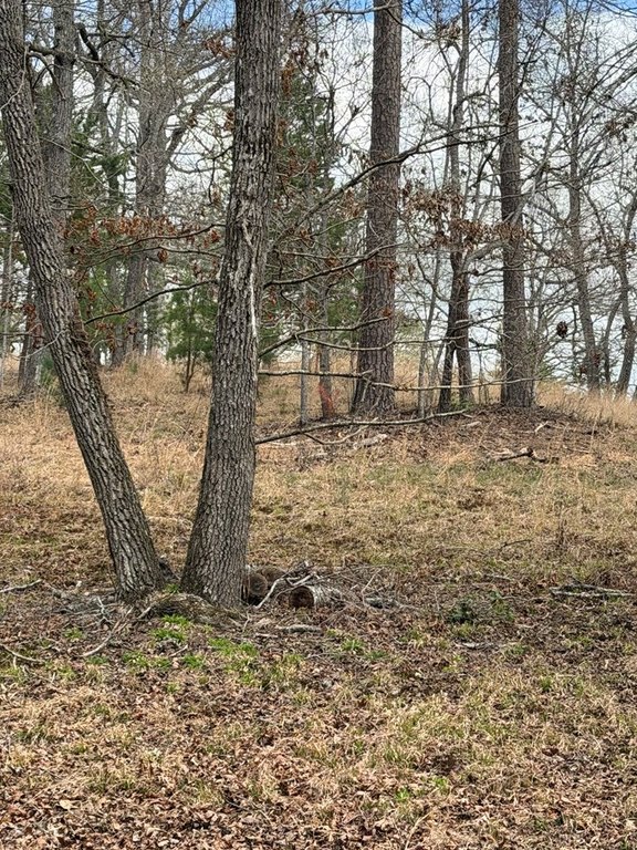 Picture 6