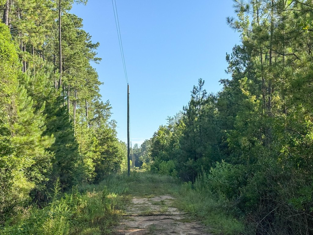 Picture 16