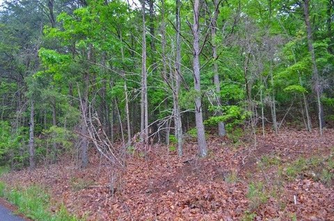 LAND - Soddy Daisy, TN