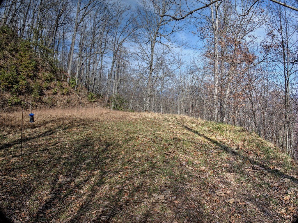Picture 8