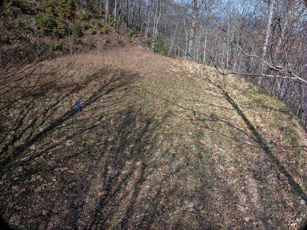 Picture 9