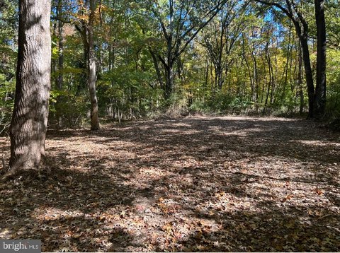 Cleared Lots in Tolchester Estates