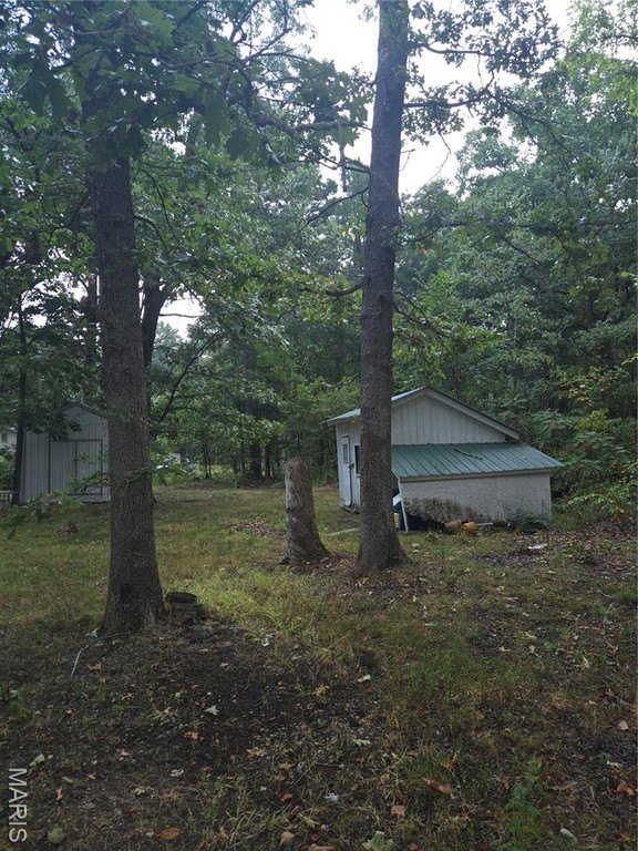Picture 16