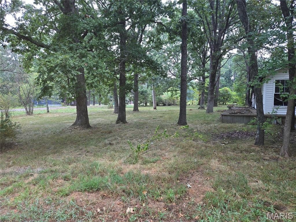 Picture 18