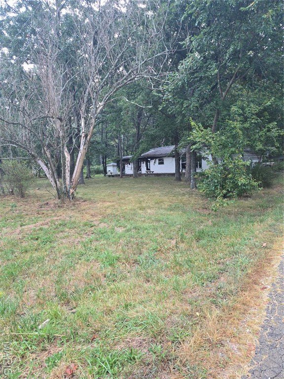 Picture 19