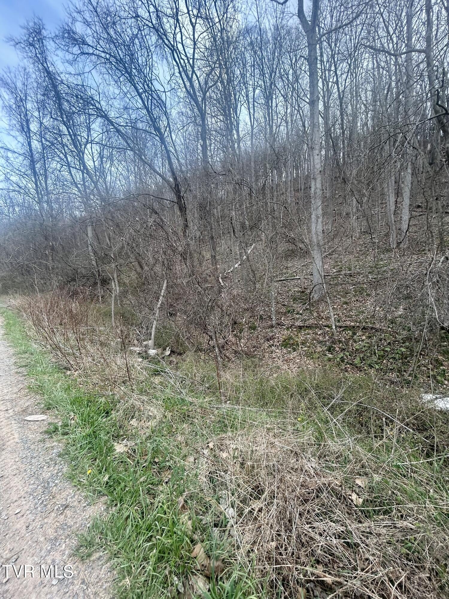 Residential Land in Scenic Abingdon
