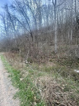 Residential Land in Scenic Abingdon