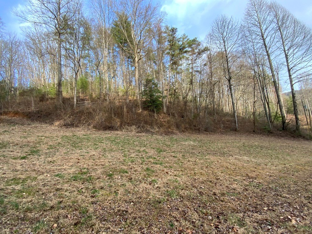 Picture 4