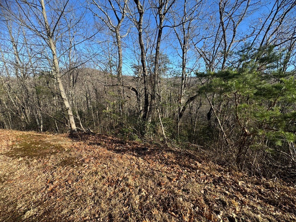 Picture 14