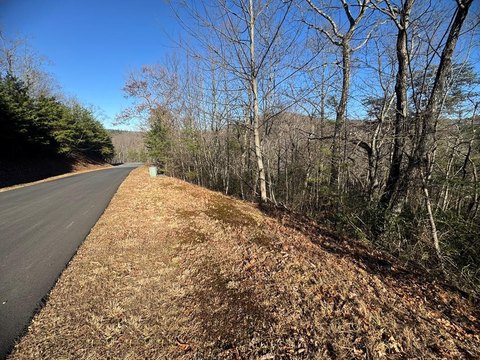 Ellijay Wooded Lot with Creek