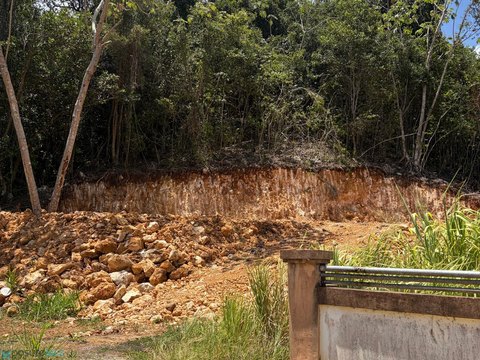 Vacant Lot, Miraflores, Arecibo, PR