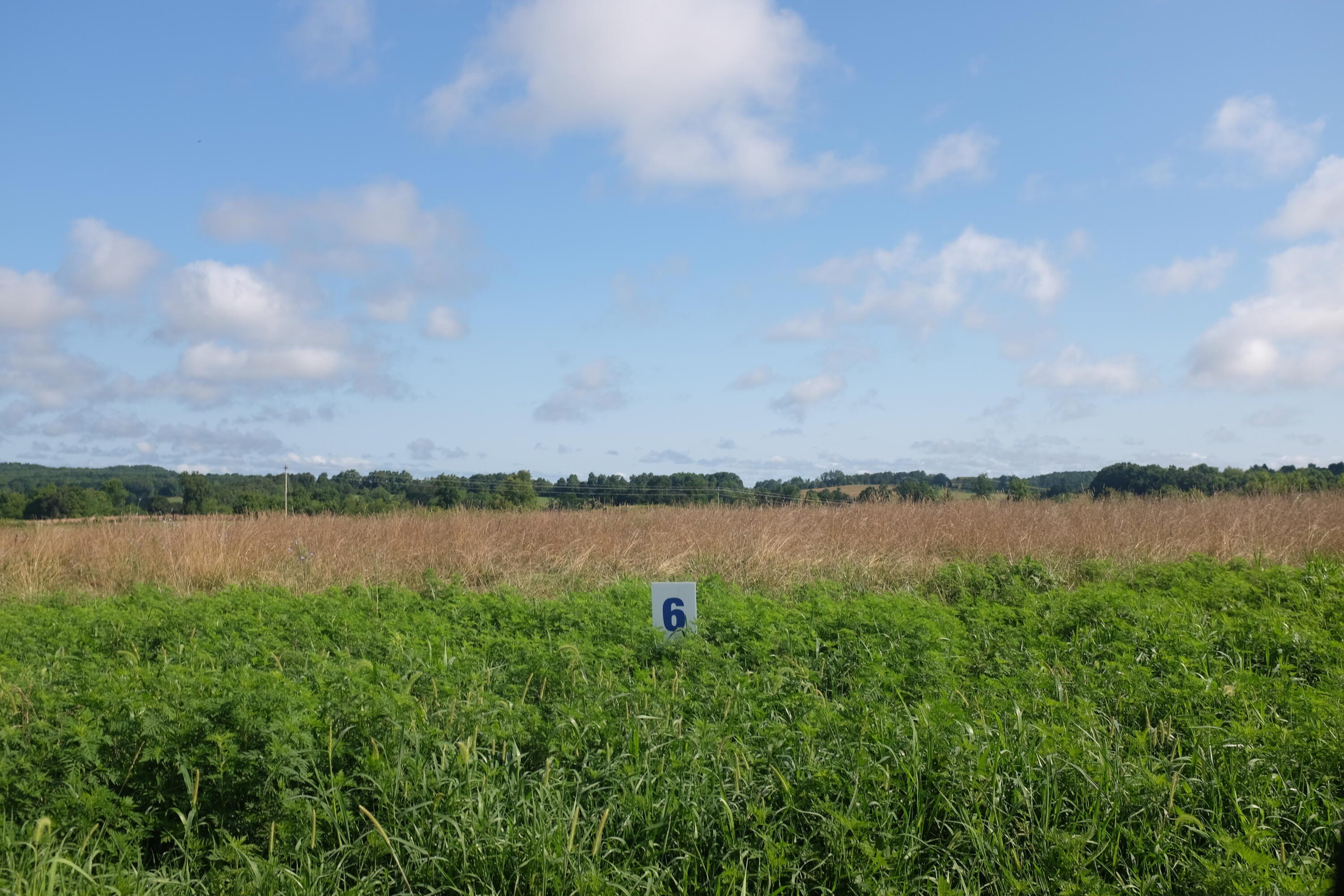 Residential Land in East Bernstadt