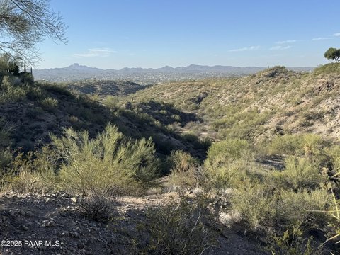 5-Acre Desert Land Parcel