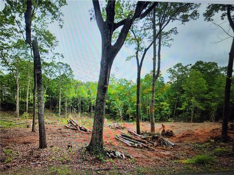 Land, Carrollton, GA