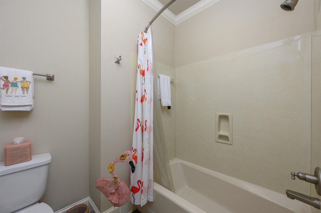 Picture 25