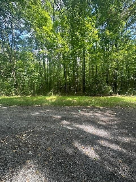 Versatile Acre in Ridgeville, SC