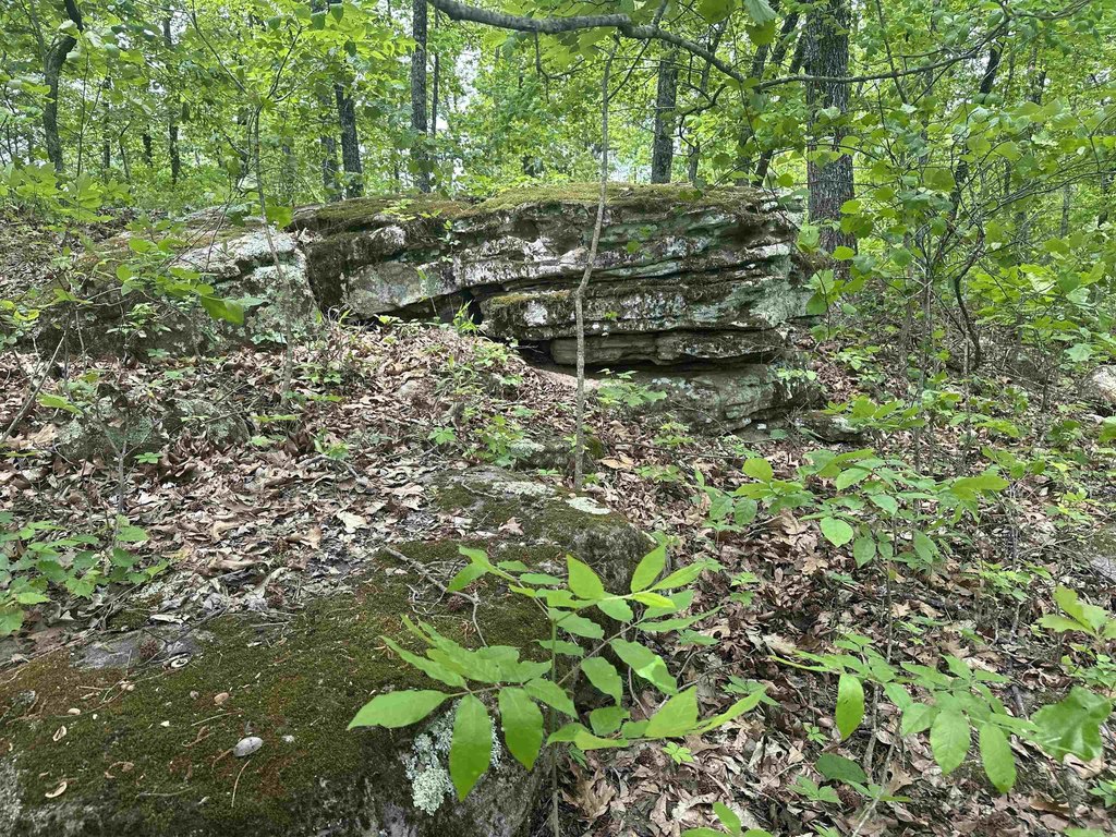 Picture 2