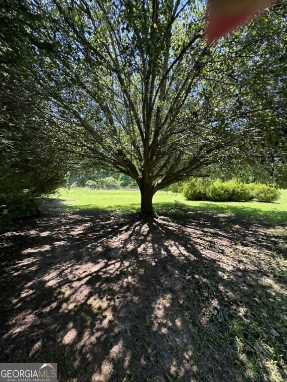 Picture 10