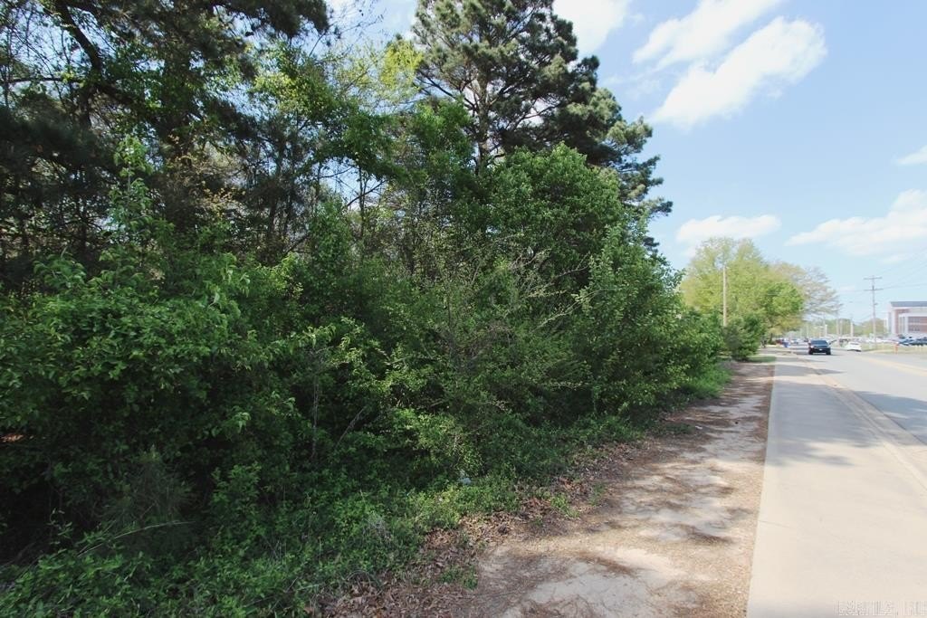 Picture 16
