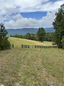 Lots/Land, Mill Spring, NC