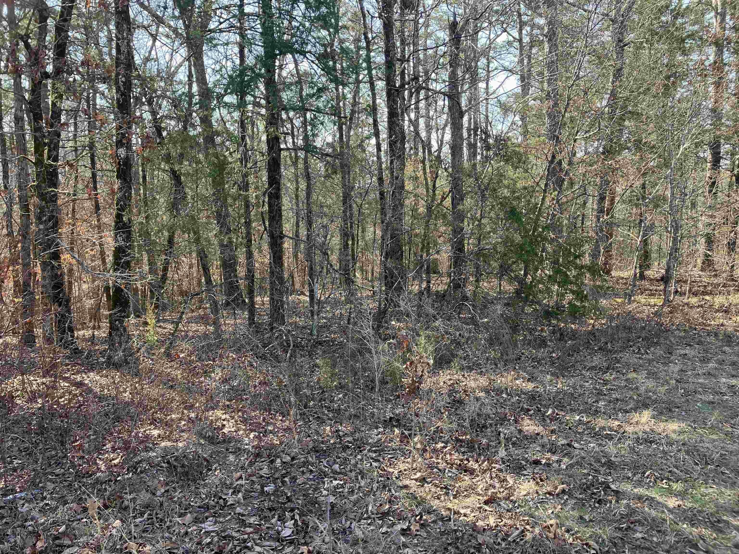 Mount Ida Wooded Land