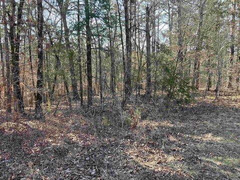 Mount Ida Wooded Land