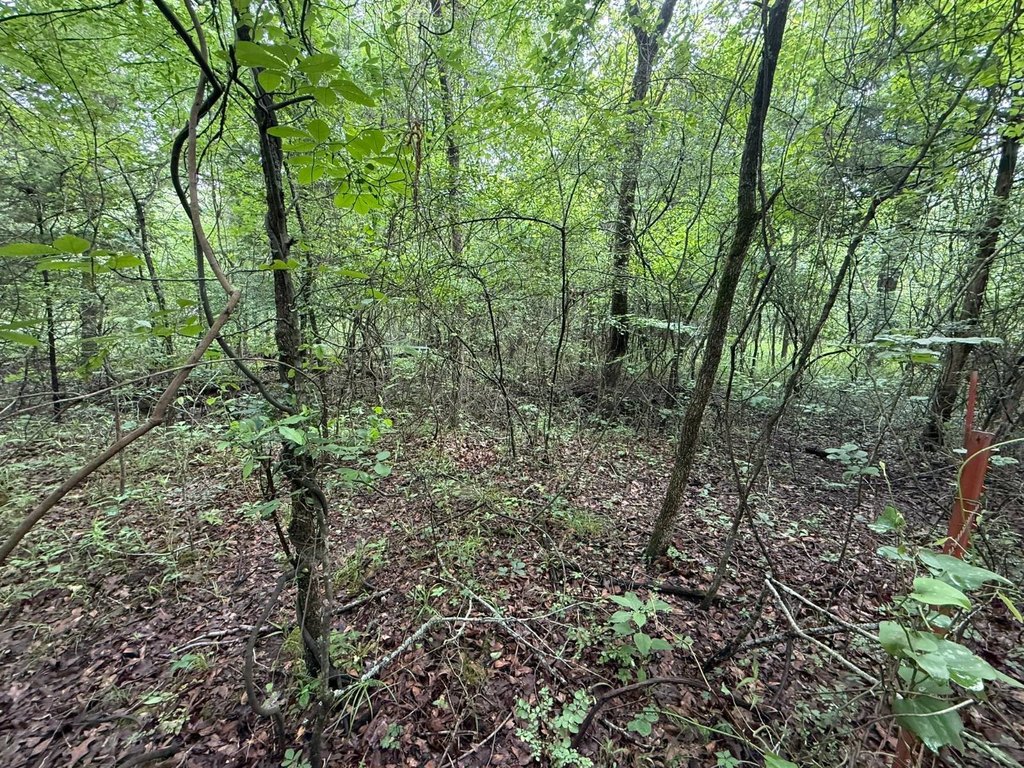 Picture 13