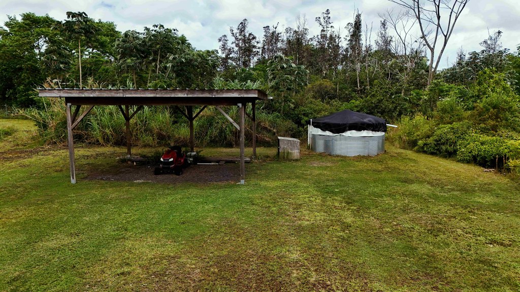 Picture 13
