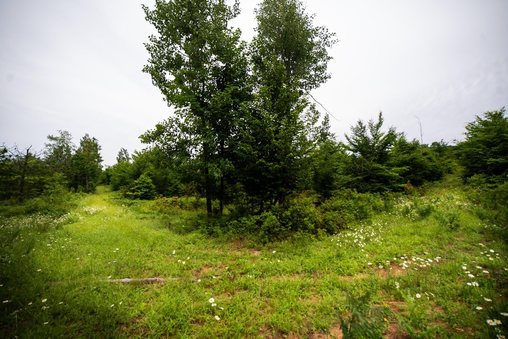 Picture 23