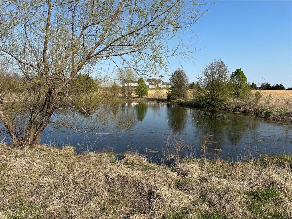 Picture 16