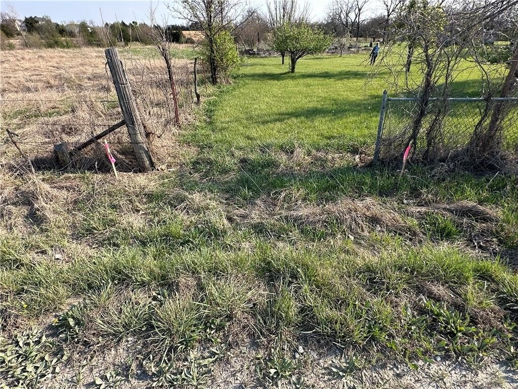 Picture 5