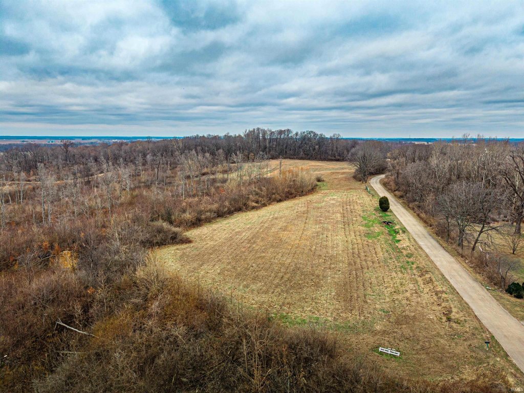 Picture 24