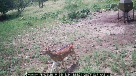 Premier Hunting Property with Barndominium